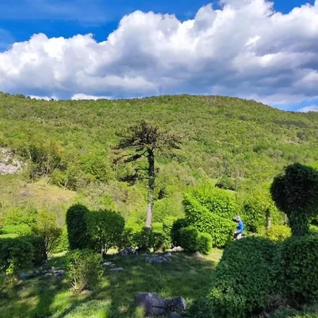 Villa Beautiful Ida & Mirko With Pool In Buzet
